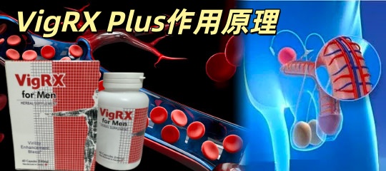1781357638168534.jpg 20250914100551_副本.jpg