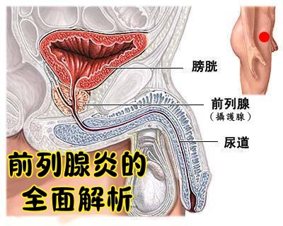 1784284191179660.jpg 20260605111258_副本.jpg