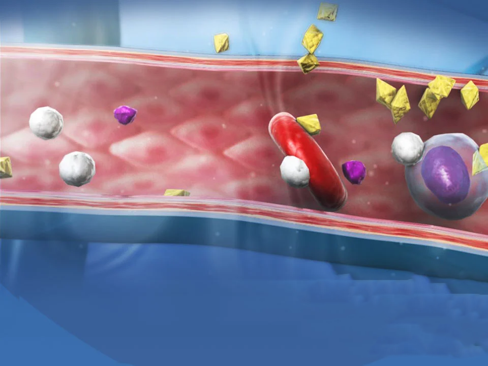 Hormone-Circulation-Clip-Cover.png